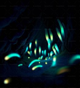 Glühwürmchen in einer Höhle